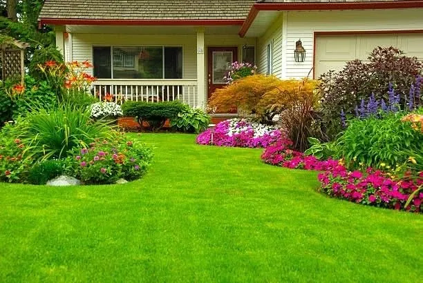Home with a thriving lawn and colorful flower garden