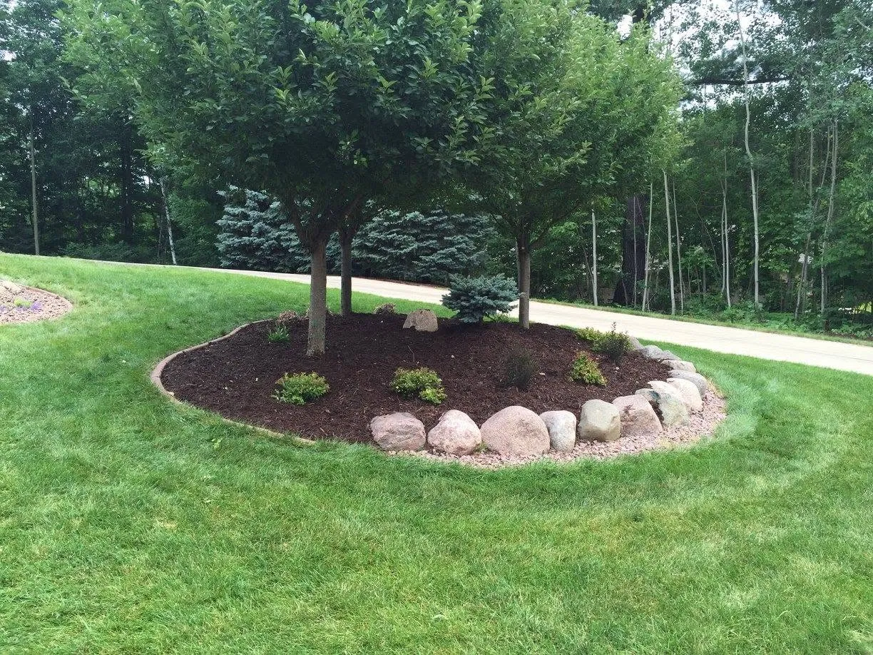 Mature trees and a mulch bed on a well-kept green lawn