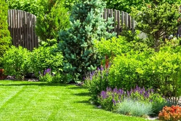 Layered garden beds and lawn resting through the winter months